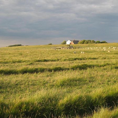 Hof Rickelsbuell - Nordseeurlaub Auf Dem Biobauernhof Rodenäs Exterior foto